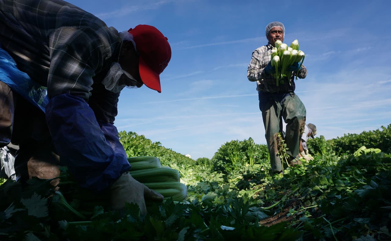 UCLA afirma que la recesión ya llegó a EEUU y explica por qué