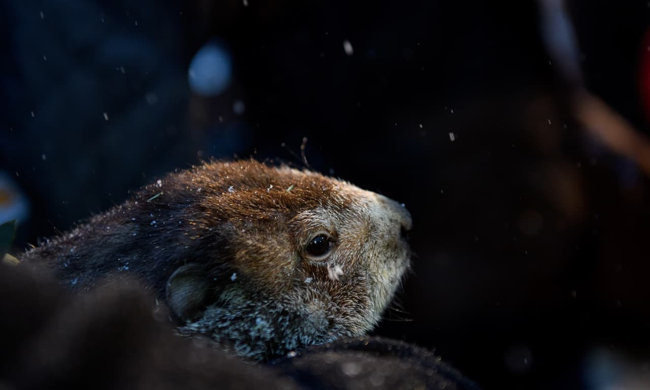 Sin embargo, muchos dudaron de la predicción de Chuck, ya que el evento parecía ser pregrabado.