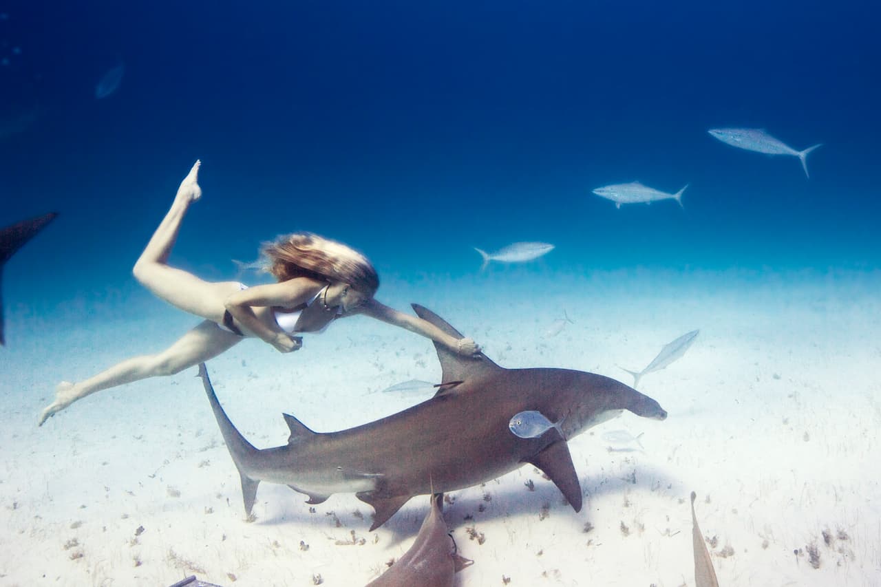 Él viajó a lo largo del mundo para capturar estas fotos.