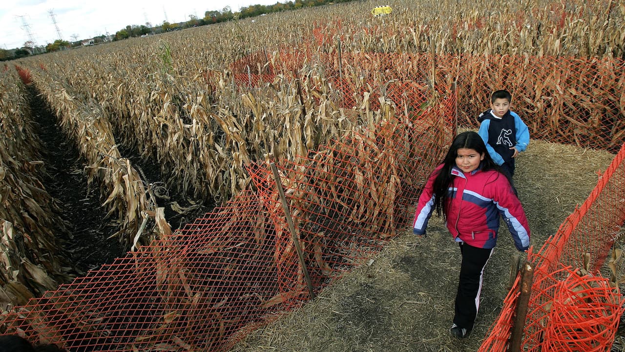 Visita un laberinto de maíz, muchas granjas convierten sus sus campos de maíz en grandes laberintos. Los laberintos de maíz son divertidos y para todas las edades.
<br>