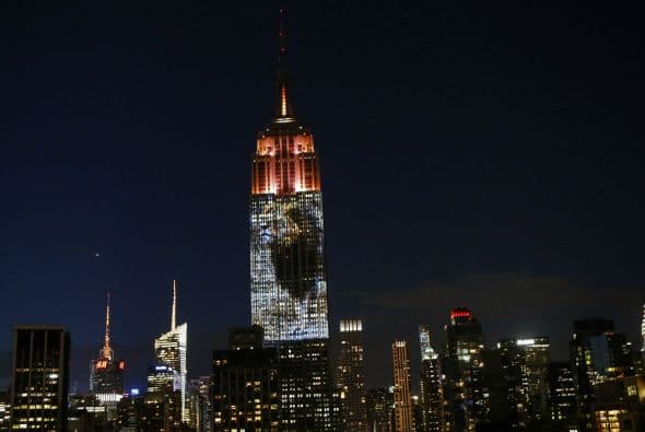 Cientos de personas se detuvieron a mirar esta y otras fotos que fueron parte de una exhibición sobre animales en peligro de extinción.