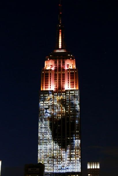 El evento fue organizado como parte de la promoción de un nuevo documental de Discovery Channel titulado "Racing Extinction" que se estrenará en diciembre.