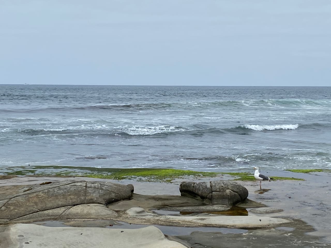 Las caminatas en la orilla de la playa son recomendadas a primera hora de la mañana. Tu recorrido será sobre arena y sobre un gigantesco parche rocoso en la costa.