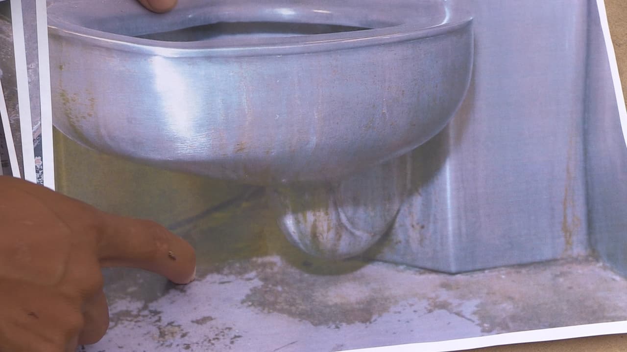 Las fotos son parte de la demanda colectiva contra el DHS