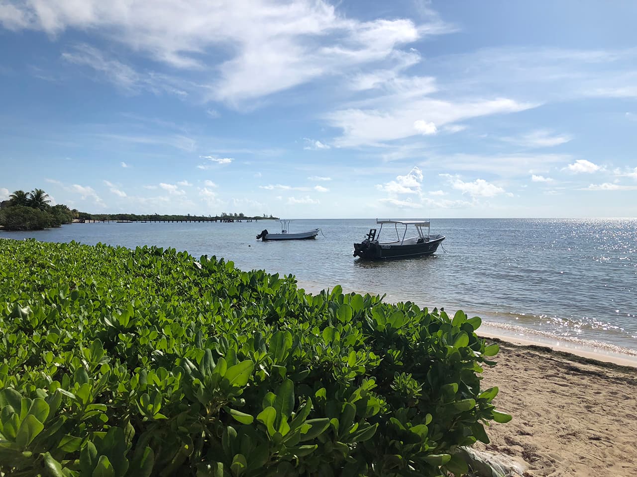 Llegaron a la Rivera Maya para retar al equipo perdedor del reto de eliminación. Pero antes de entrar a la competencia, vivieron unos días de preparación y entrevistas en Cancún.