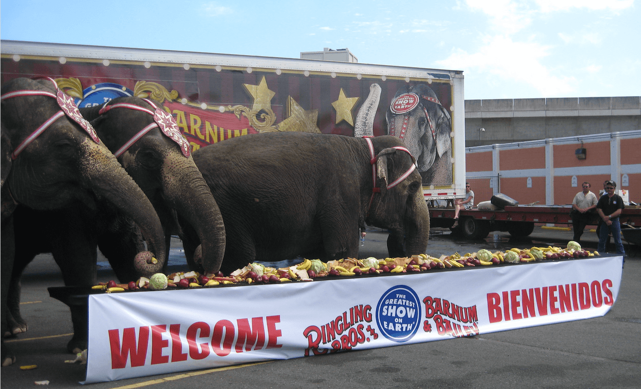Pam Anderson, Shaquille O'Neal, Donald Trump y el fin del circo Ringling Bros. y Barnum & Bailey 
