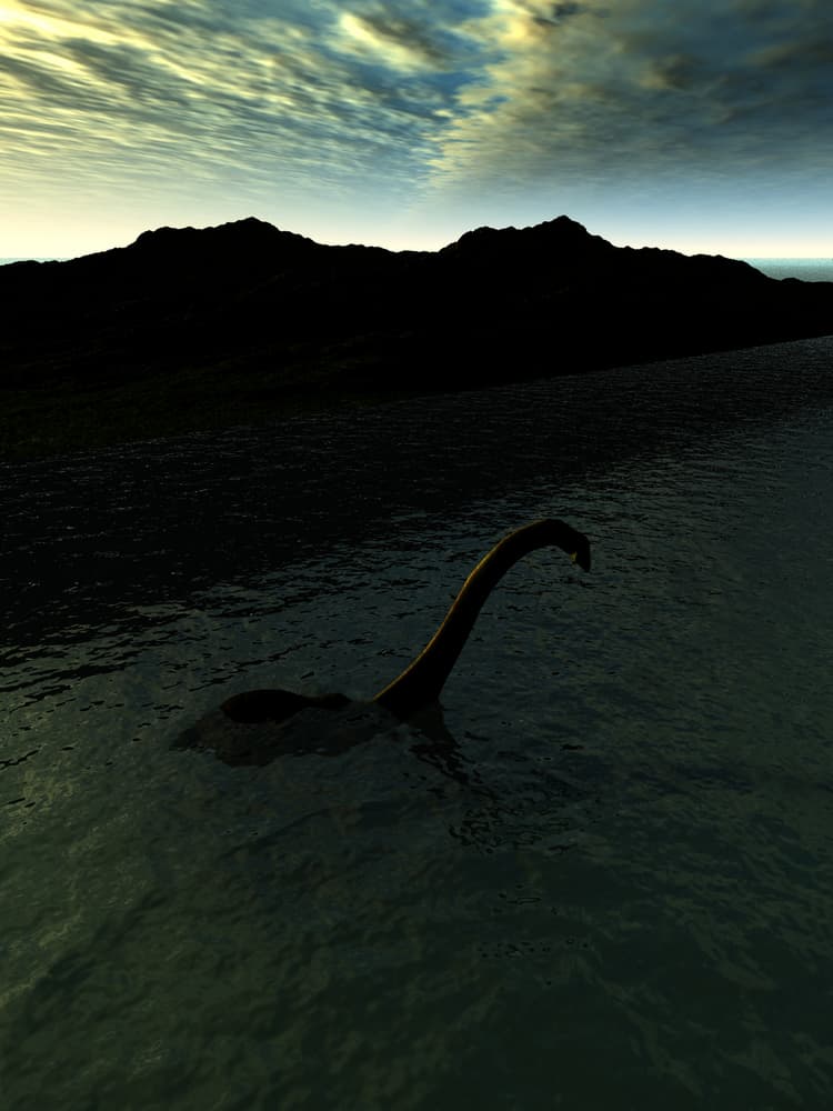 Se ha descrito al monstruo como una especie de dinosaurio de cuello largo, como los plesiosaurios, criaturas acuáticas prehistóricas, aunque su tamaño varía de historia a historia. Algunos dicen que va desde tres metros pero llegaría hasta los 30.