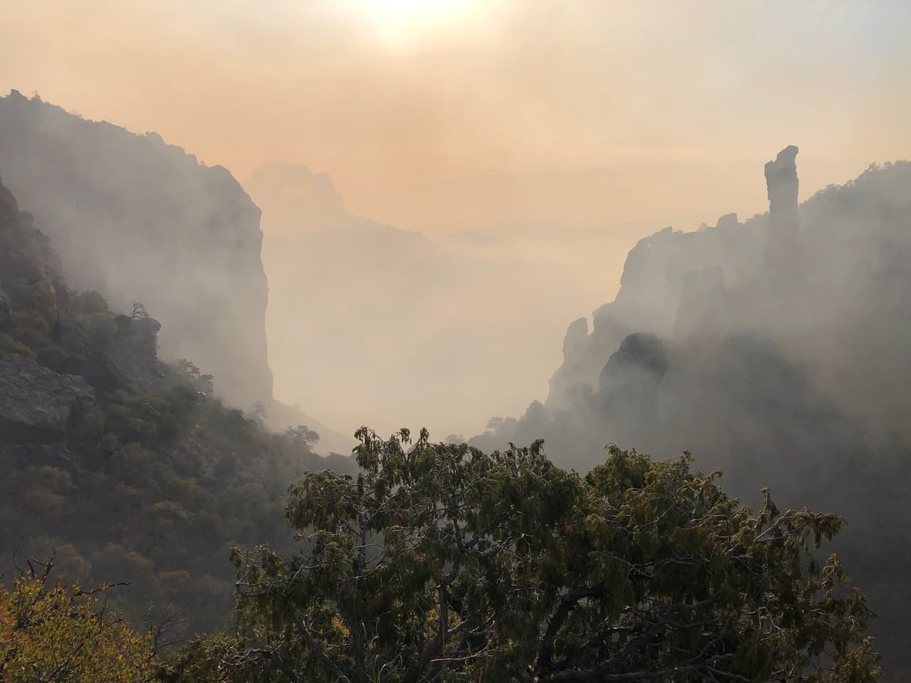 El siniestro ya ha quemado, al menos, 863 acres. 
<a href="https://www.facebook.com/BigBendNPS/photos/a.871714252846895/4178587055492915/" target="_blank">El Servicio de Parques Nacionales informó que gran parte del incendio se encuentra en la "Isla del cielo" en las altas montañas Chisos. </a>
