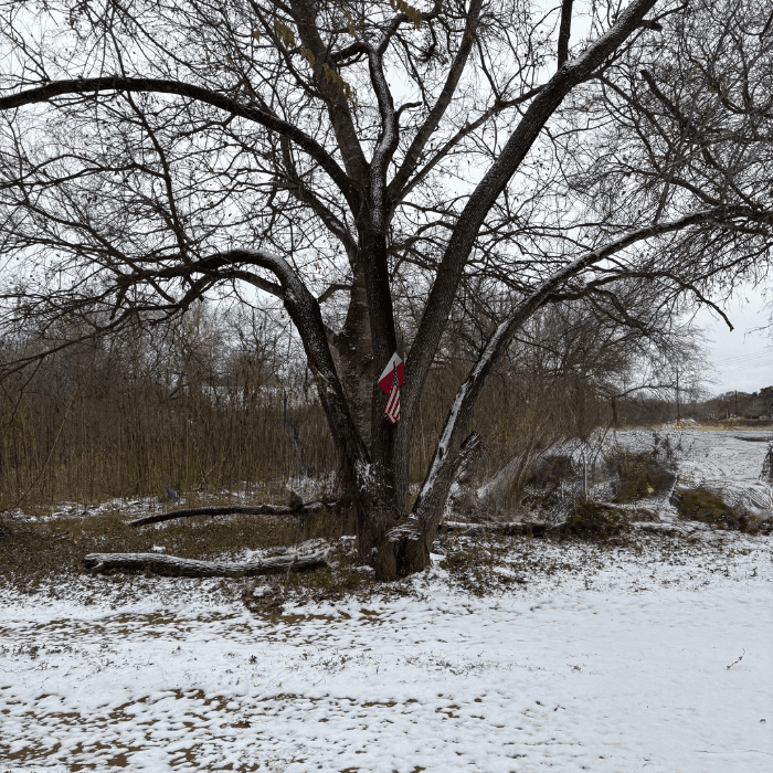 La tormenta invernal trajo una densa capa de nieve que cubrió la ciudad y varias zonas del centro de Texas.
<br>
<br>Usuarios de Univision enviaron las imágenes de cómo vivieron la primer nevada del 2025.