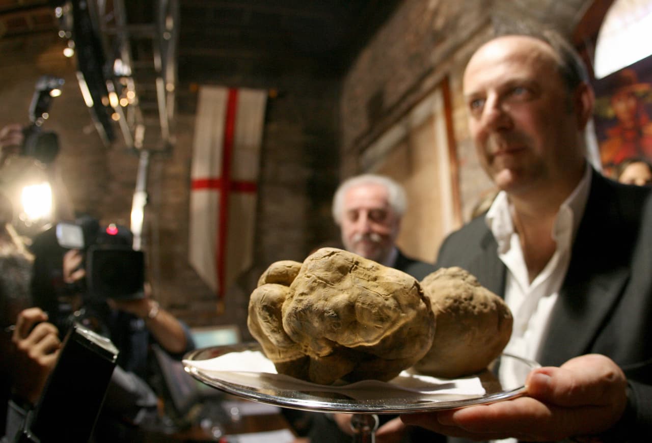 Esta trufa fue subastada en 2006 por más de $130,000 dólares