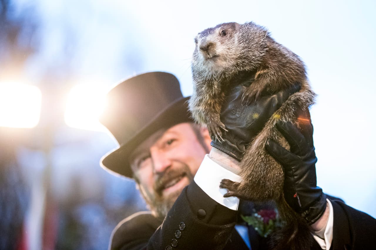 6 semanas más de invierno: Punxsutawney Phil hace la predicción del Día de la Marmota