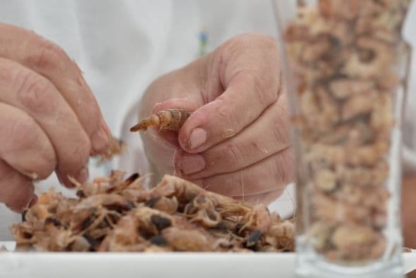 Fue ideada por el mayor de un pueblo cercano de la costa, cerca de Dunkirk, Bernard Weisbecker. Cocina con sabor para tus hijos y prepara platillos nutritivos y ricos en casa. Busca más recetas deliciosas aquí.