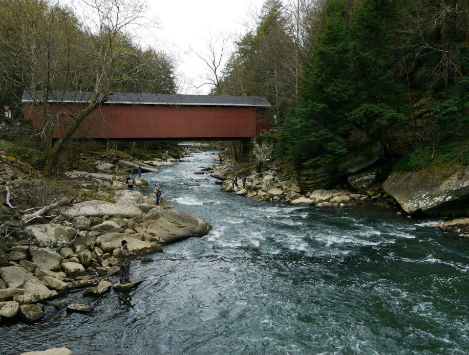 <b>Slippery Rock Creek</b>. No muy lejos de los límites de la ciudad de Pittsburgh fluye un arroyo conocido por su increíble pesca de truchas y lubinas de boca pequeña. Hacia el sur, hacia Beaver River, Slippery Rock Creek tiene hermosos tramos remotos a los que se puede acceder por senderos en McConnells Mill State Park.
<br>
<br>
<b><a href="https://goo.gl/maps/ovgcCk8kPBtduP477">Cómo llegar</a></b>