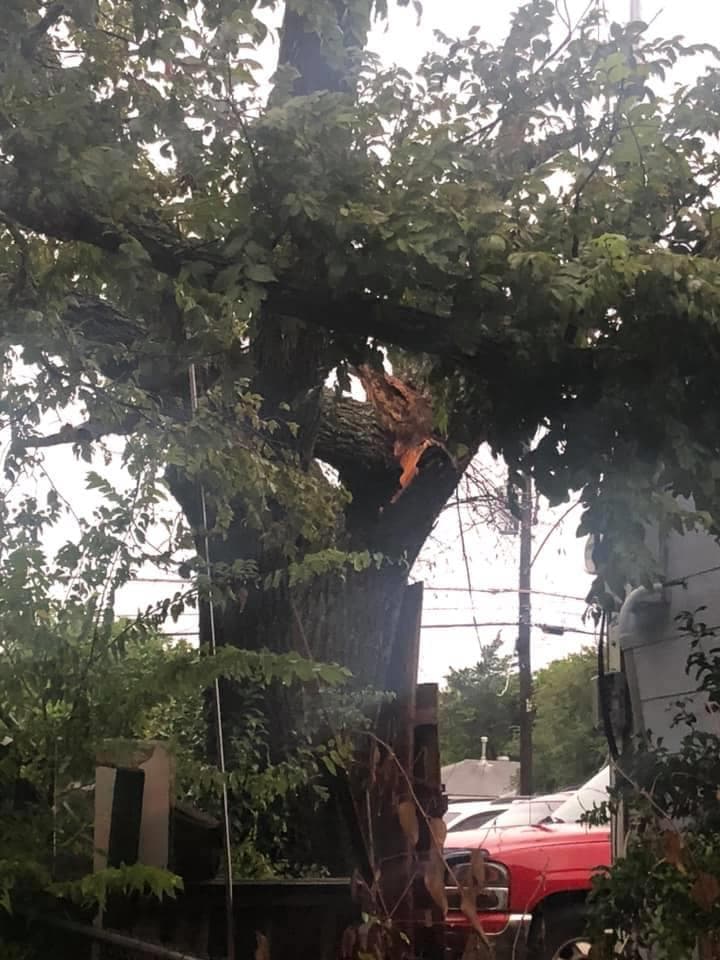 Las lluvias iniciaron durante la mañana del martes y duraron la mayor parte del día y hasta la noche.
<br>