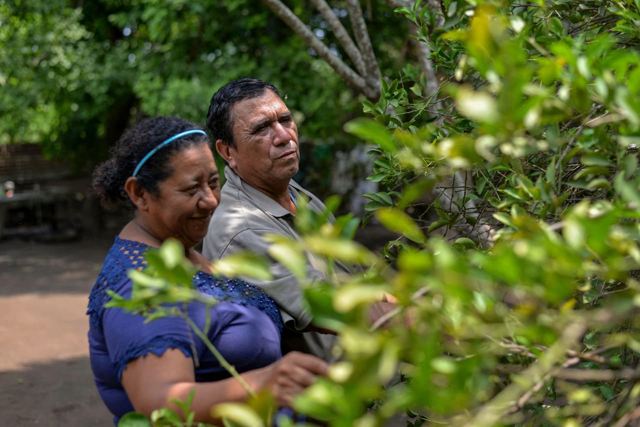 Luis Gomez y su esposa Idalia Paz, los dos afectados por el Nemagón. 
<b>El DBCP, un pesticida prohibido a finales de los años 70 en Estados Unidos</b>. Se vendió hasta
<b> mediados de los 80 en Nicaragua como Nemagón o Fumazone </b>y
<b> </b>ha sido objeto de numerosas demandas en América Latina. 
<br>
<br>