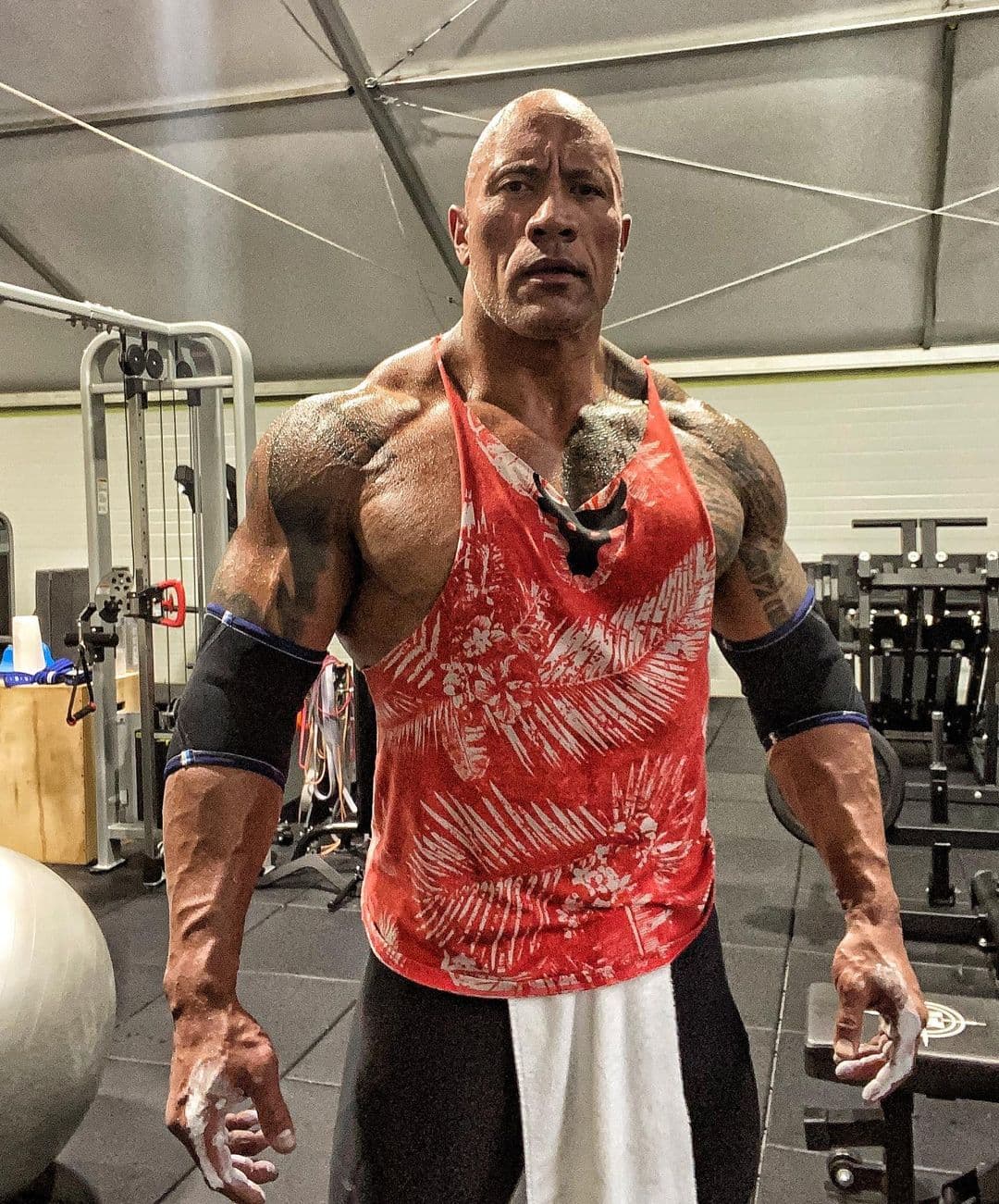 1. Dwayne ‘The Rock’ Johnson | Con poco más de 187 millones de seguidores, el actor y ex luchador de la WWE cobra hasta un millón de dólares por cada post.