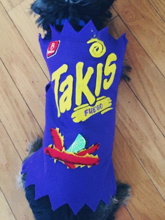 Moz sirve como un modelo canino para las creaciones de su dueña.