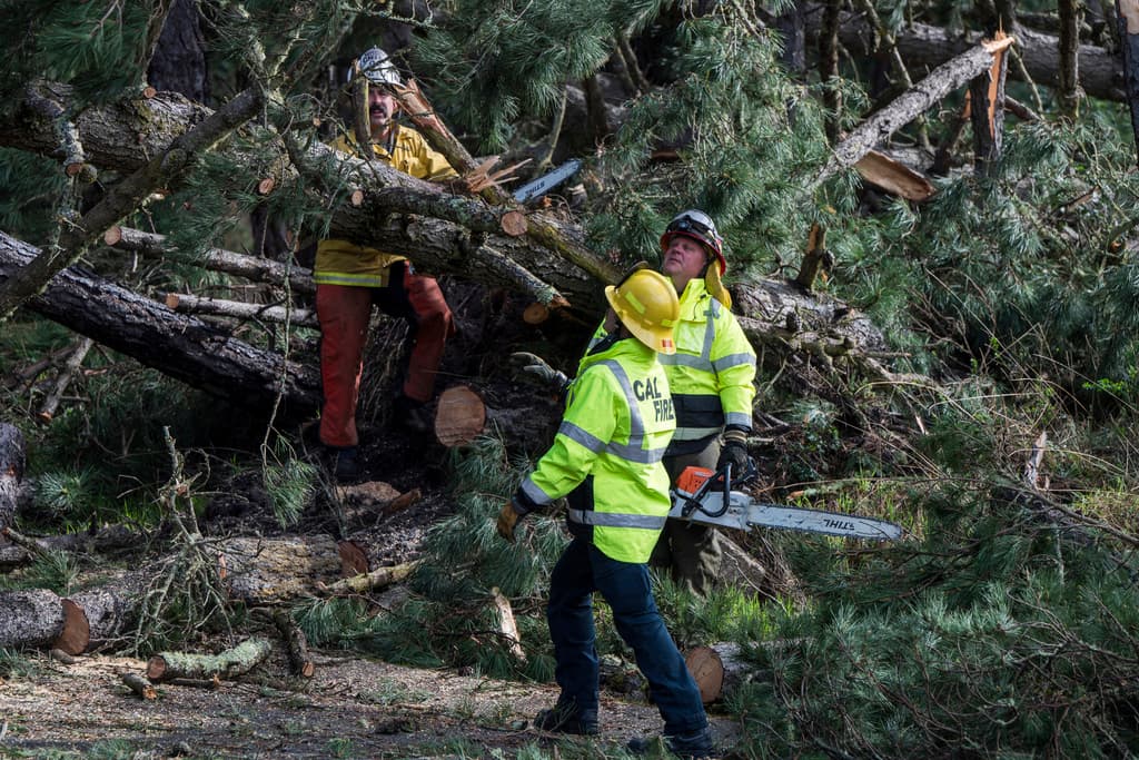 Equipos de limpieza de árboles caídos el domingo 4 de febrero de 2024 en Monterey, California. California se preparaba el domingo para lo peor de una tormenta potencialmente peligrosa que amenazaba con azotar partes del estado con vientos huracanados y provocar inundaciones y deslizamientos de tierra a medida que avanza. la costa durante los próximos días. (Foto AP/Nic Coury)
