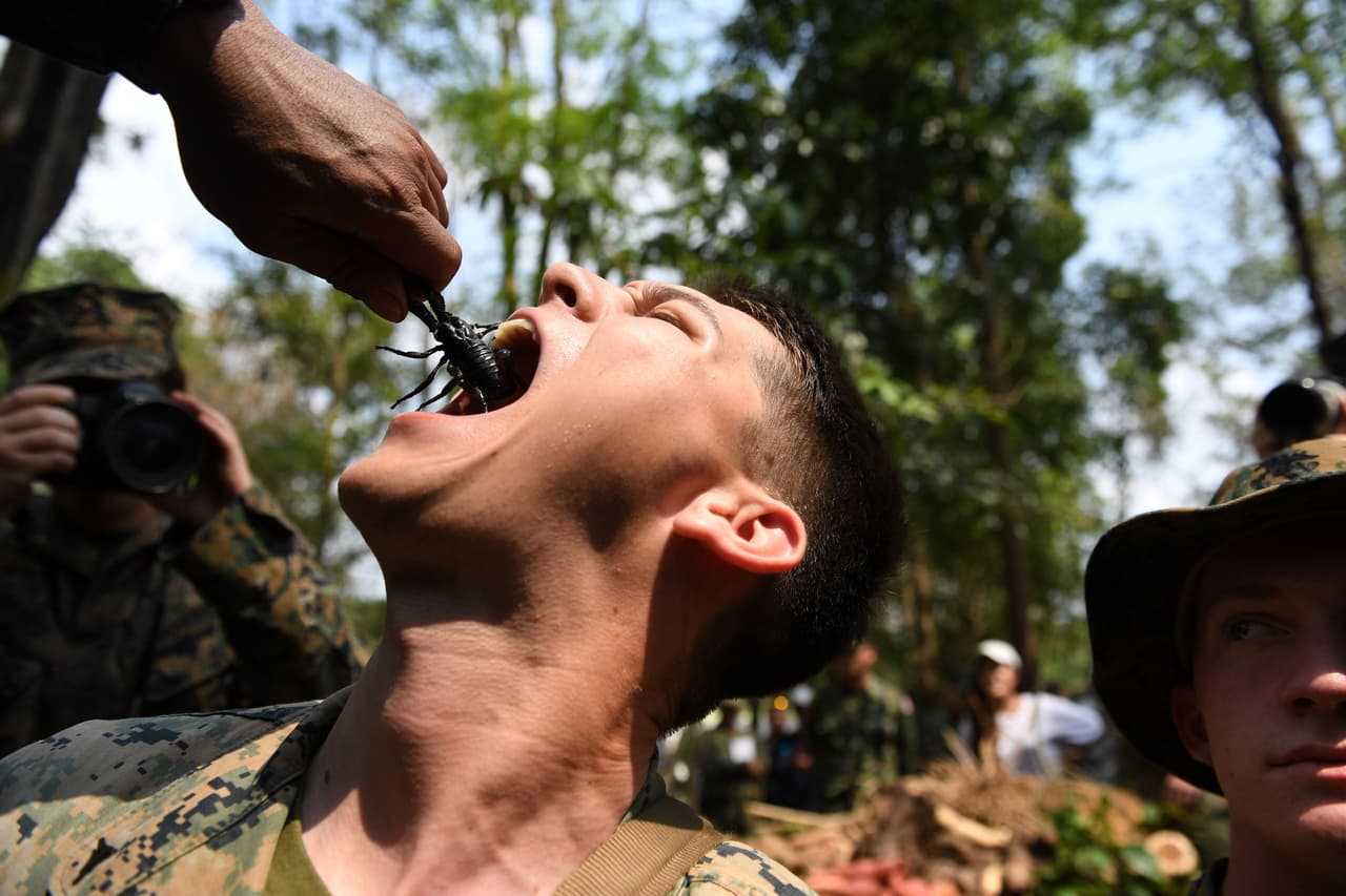 Los ejercicios militares Cobra Gold comenzaron en 1982 y son parte de la cooperación entre EEUU y Tailandia con fines militares y humanitarios. Tailandia es uno de los aliados más antiguos de los EEUU en la región de Asia del Sur.