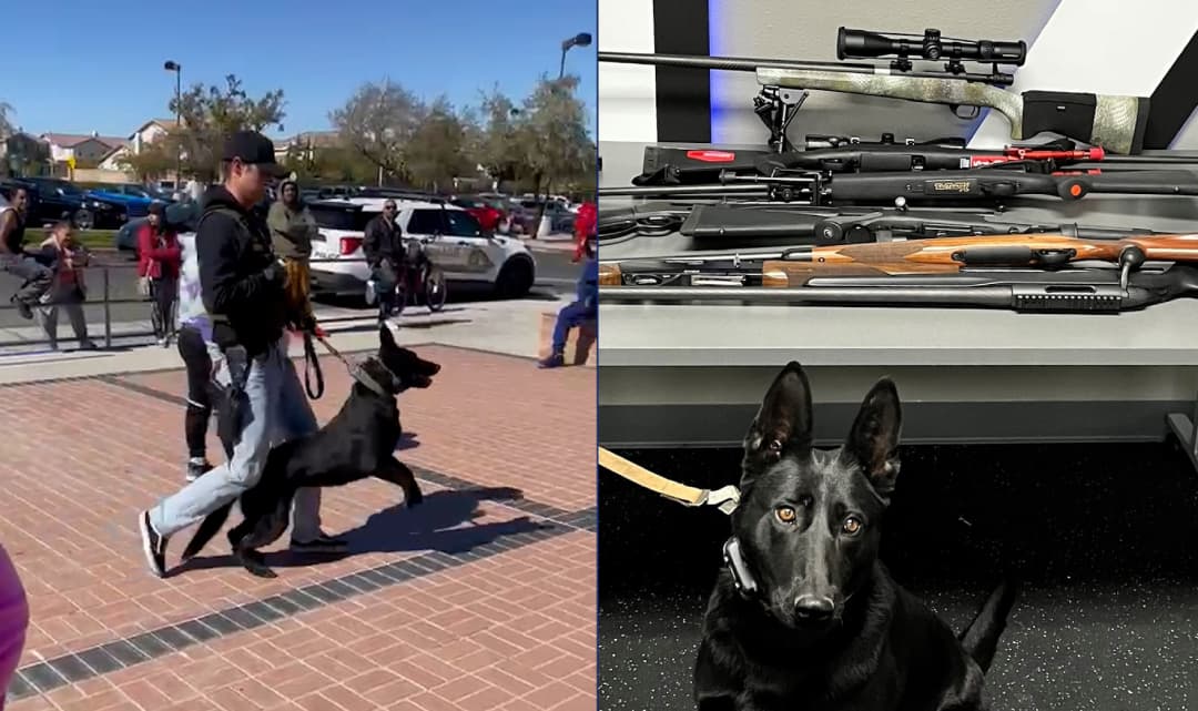 Arrestan a menor de 12 años tras encontrar múltiples armas en su casa: había amenazado su escuela