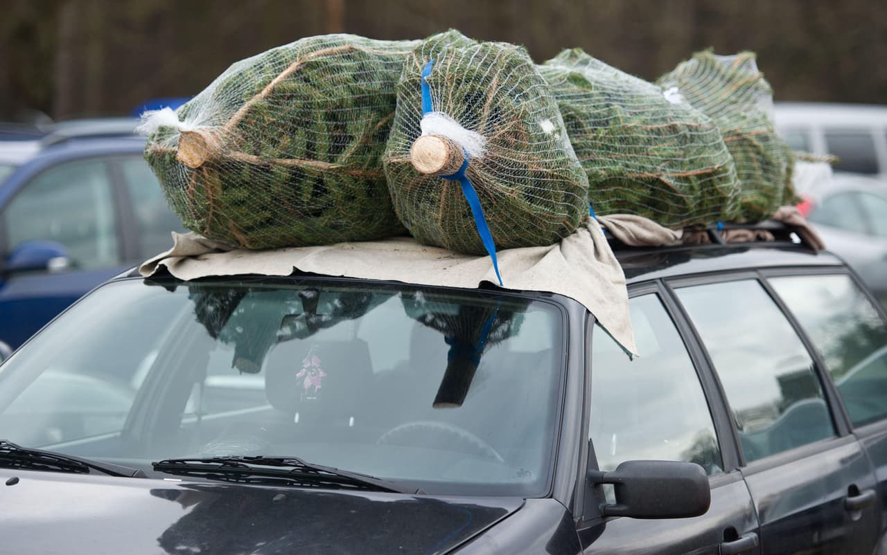 <b>Kiefer Landfill. </b>12701 Kiefer Blvd, Sloughhouse, CA 95683. Sábado y domingo, 8 y 9 de enero de 8:30 a.m. a 4:30 p.m. Para llegar de Jackson Highway, dirígete hacia el norte en Grant Line y da vuelta a la derecha en Kiefer Boulevard.