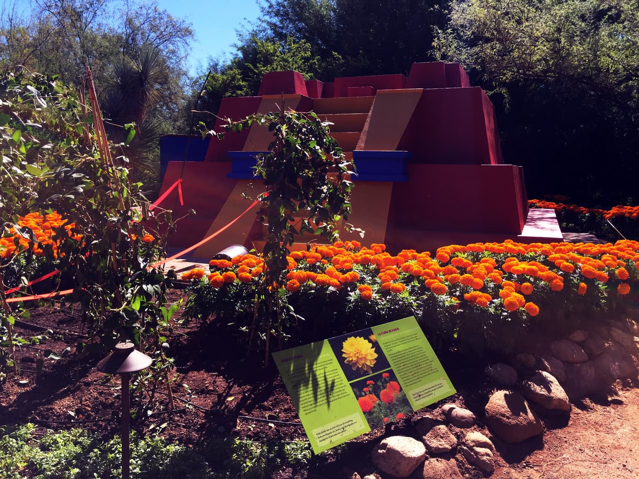 La 'Casa Azul' de Frida Kahlo llega al Jardín Botánico de Tucson 