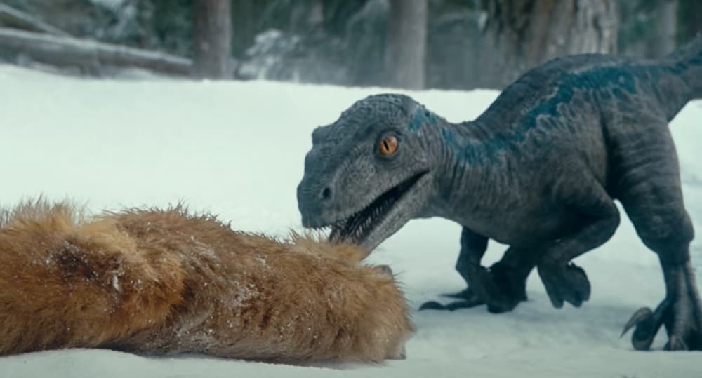 Algo similar ocurre en 'Jurassic World: Dominion', cuando el grupo de científicos tiene que rescatar a una cría de velociraptor robada para ganarse la confianza de su violenta y sobreprotectora mamá.