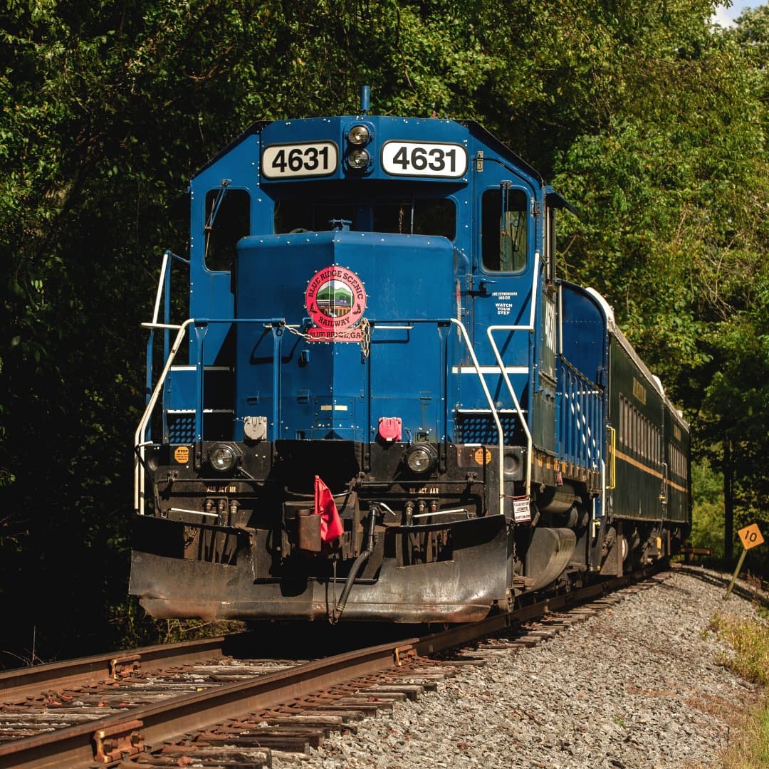 Para quienes quieran convertir sus vacaciones en una aventura familiar épica y crear recuerdos que durarán toda la vida, pueden tomar la excursión de 4 horas hasta Tennessee. Esta opción -que cuenta con una escala de dos horas- estará disponible hasta el 31 de diciembre.