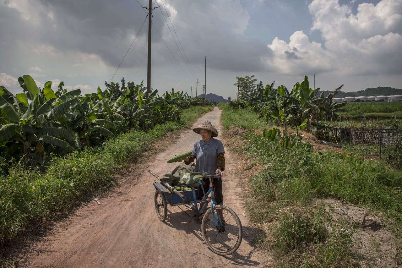 La meta es poder replicar la experiencia en áreas más abiertas y, posteriormente, fuera de China.
