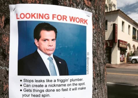 Los constantes despidos que ha hecho Donald Trump en las últimas semanas se han convertido en una fuente constante de inspiración para Jason C. Saenz, quien ha decidido tomarse la calle con carteles impresos en casa para comentar de manera jocosa la política. 
<a href="http://www.univision.com/noticias/politica/trump-despide-a-scaramucci-quien-llevaba-10-dias-como-director-de-comunicaciones-a-peticion-de-su-nuevo-jefe-de-gabinete">El despido más reciente, el de el director de comunicaciones de la Casa Blanca Anthony Scaramucci</a>, se convirtió en el nuevo portagonista de la serie 'Busco trabajo'. "Busco trabajo y soy capaz de detener filtraciones y crear apodos, dice el cartel" refiriéndose al infantil apodo que Scaramucci le puso al jefe de equipo de la Casa Blanca, 
<a href="https://www.dailydot.com/tags/reince-priebus/">Reince Priebus.</a>