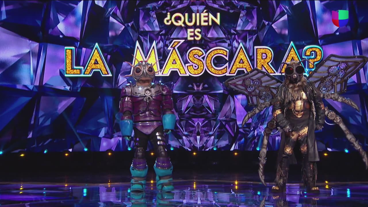 Del duelo entre Cebra y Marciano, este último peligró y compitió contra Abejorro. De estos dos personajes, los investigadores tenían que elegir a uno para quitarle la máscara.