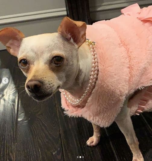 "No tengo que comprarlo, porque ya lo tengo", se lee junto a esta postal compartida en la cuenta oficial de Baguette.