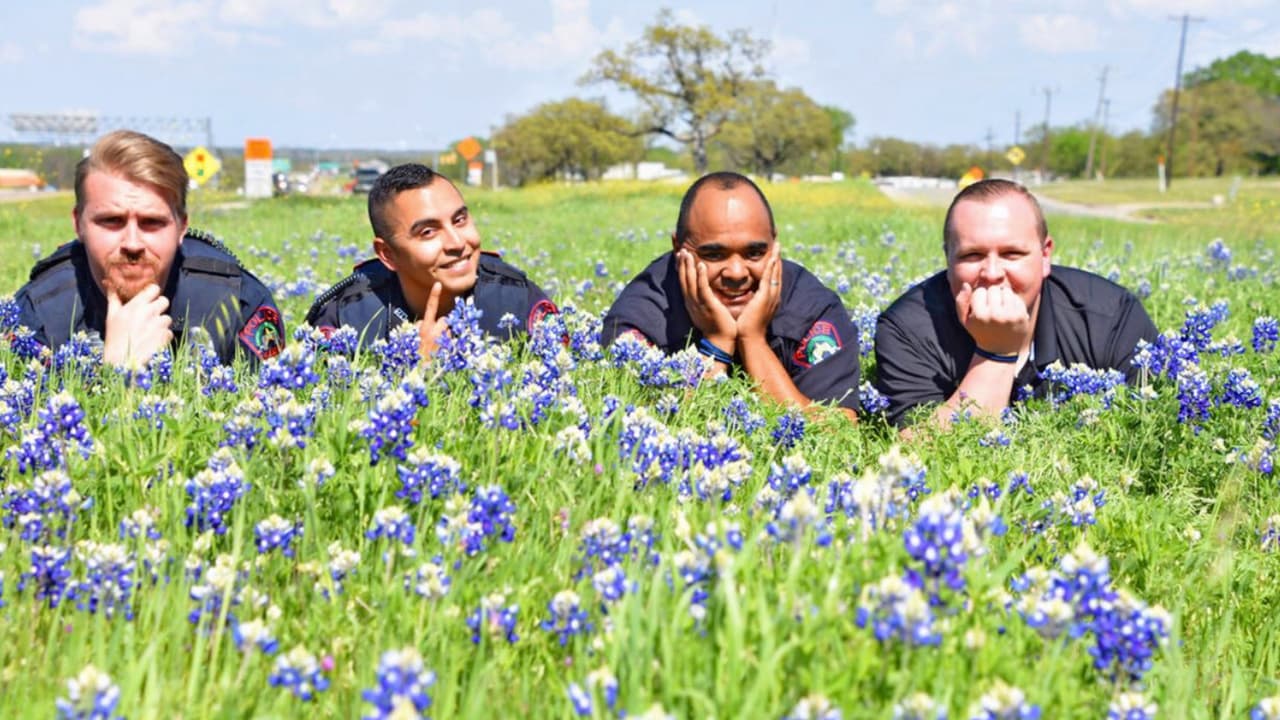 No es claro quién o cuándo empezó el reto, pero los agentes del departamento de policía de Keene aseguran que ellos son los creadores de la idea. "Solo recuerda, cuando veas a todos estos departamentos de policía posando en campos de Bluebonnets, nosotros somos los creadores, no imitadores ... hemos estado haciendo el #backthebluebonnets desde el año pasado. Aquí están las pruebas y nuestra contribución para 2019", escriben en 
<a href="https://twitter.com/KeenePD" target="_blank">tuit</a> acompañado de una foto de abril de 2018. 
<br>