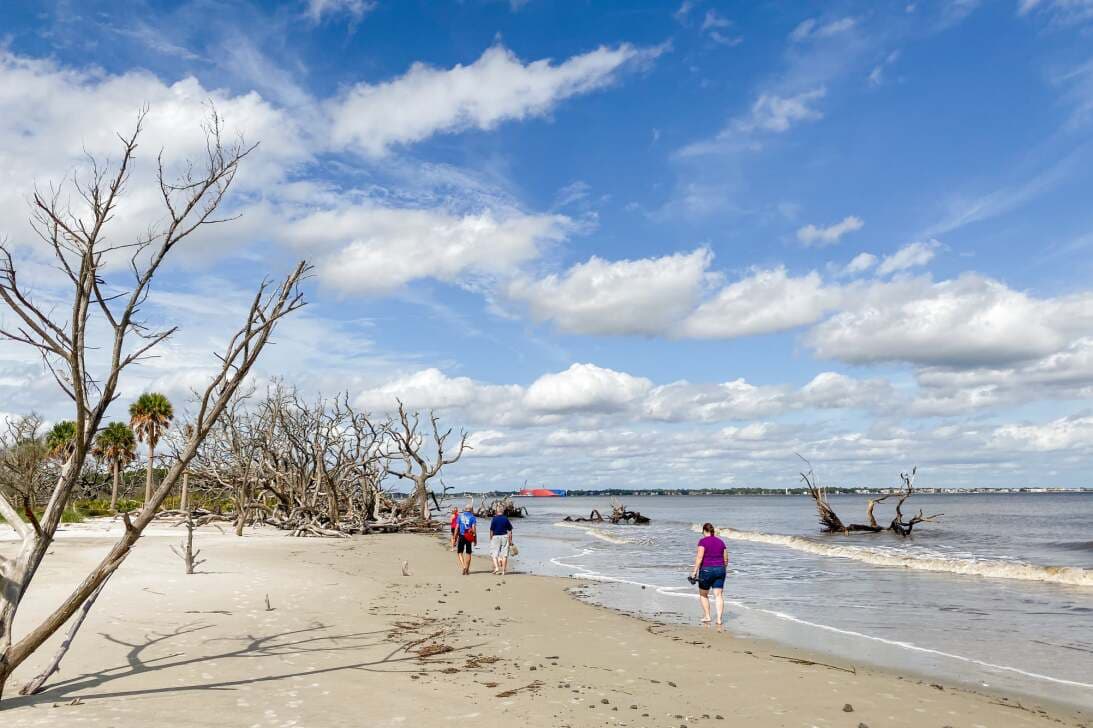 <b><a href="https://www.univision.com/local/atlanta-wuvg/mejores-playas-georgia-visitar-verano-2022-fotos">TE PODRÍA INTERESAR: Estas son las mejores playas de Georgia para visitar en verano</a></b>