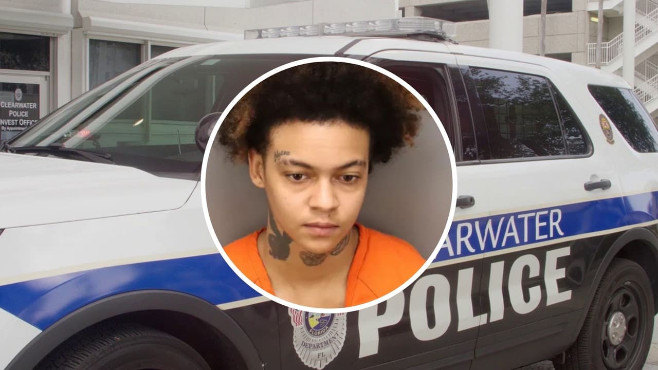 Joven de Florida arrestada por brutal ataque a su perrita: usó salsa picante y jugo de pepinillos