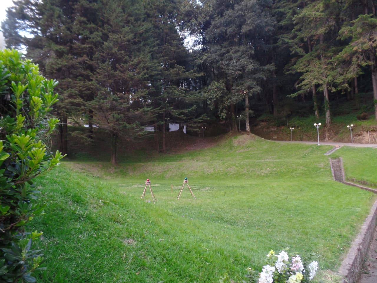 Tiene amplios jardines en donde los huéspedes pueden salir a jugar Crockett.