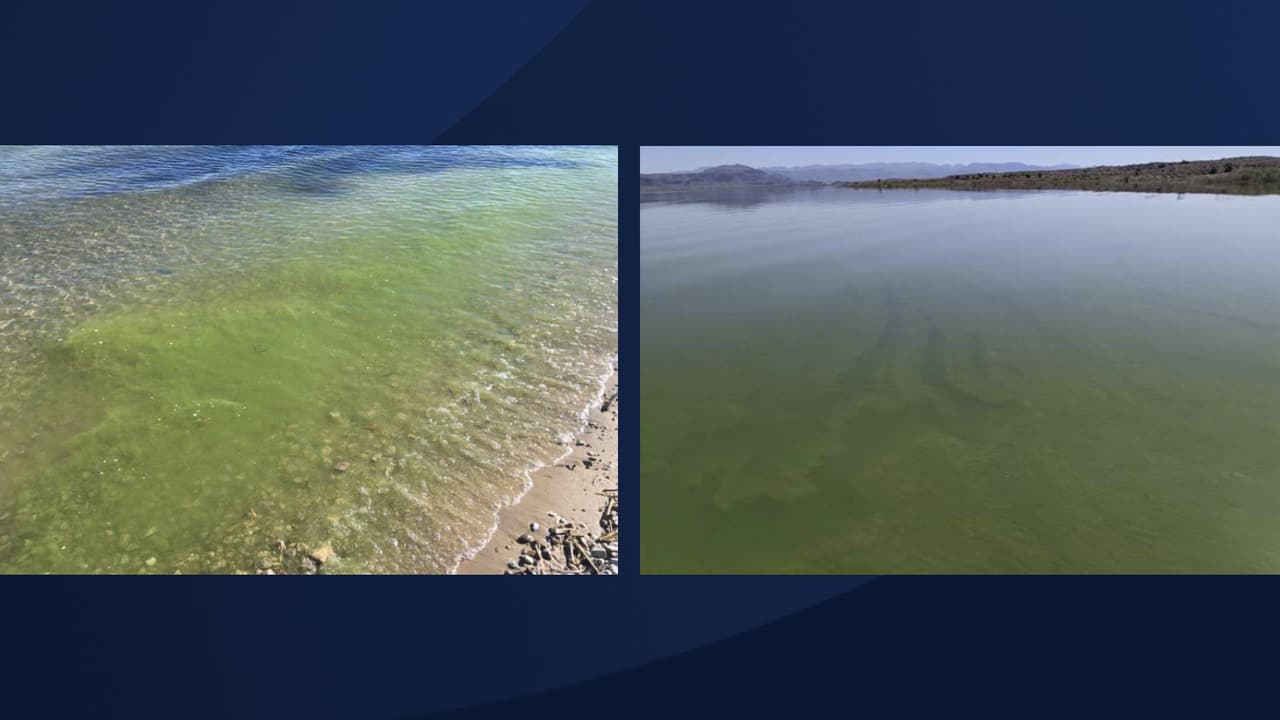 <a href="https://www.univision.com/local/arizona-ktvw/tiempo">El aumento de las temperaturas climáticas</a> también aumenta la presencia de algas en los lagos de Arizona.
<br>