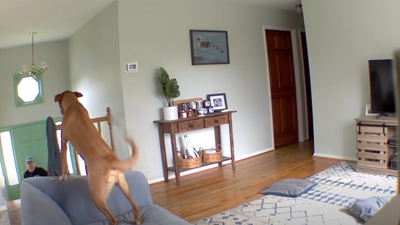 Buscan a sospechosa de robar casas en Howard; fue captada en video