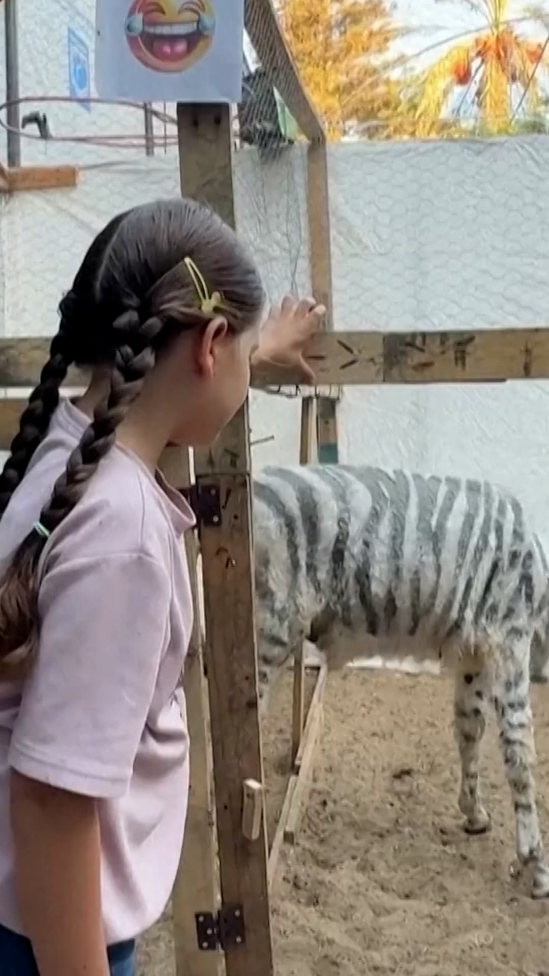 Una "cebra falsa" alegra a los niños de Gaza