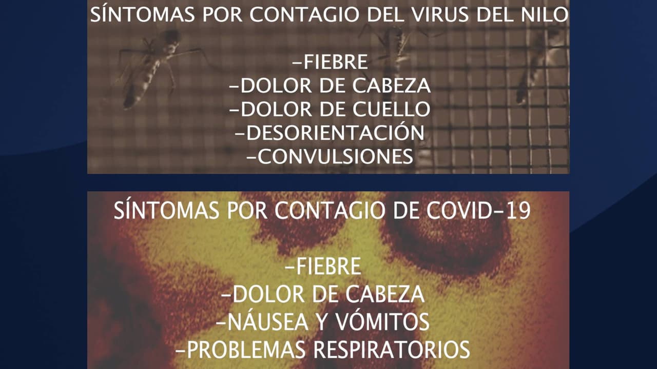 <h3 class="cms-H3-H3"><b>¿Cómo diferenciar los síntomas por un contagio del <a href="https://www.univision.com/temas/virus-del-nilo">virus del Nilo</a> y el Coronavirus?</b></h3>
<br>“Infecciones por el virus del Nilo presentarán fiebre, dolor de cabeza, dolor en el cuello o no poder moverlo mucho, desorientación, convulsiones o puede llegar a tener un coma o parálisis”, explica el doctor Correa. “El covid-19 causa fiebre, dolor de cabeza, nausea y vomito que en ambos se puede presentar y al final 
<b>el covid-19 quizá los síntomas se enfocarían más a la parte respiratoria</b>”, agrega.