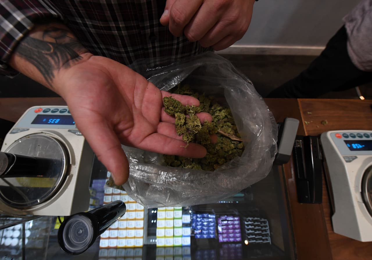 Calculan que los impuestos a la marihuana favorecerán al mercado negro de la hierba