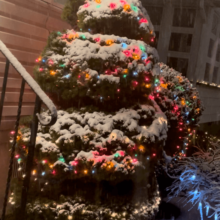 Jackeline Candelario compartió esta foto de un árbol nevado con luces de colores.