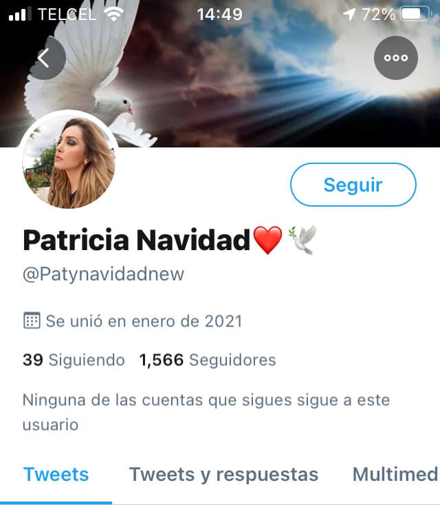 <b><a href="https://twitter.com/patynavidadnew?s=21" target="_blank">Dio de alta la cuenta @patynavidadnew</a></b> desde donde ha retomado los mensajes que obligaron a Twitter a suspender el perfil que tenía verificado.
<br>