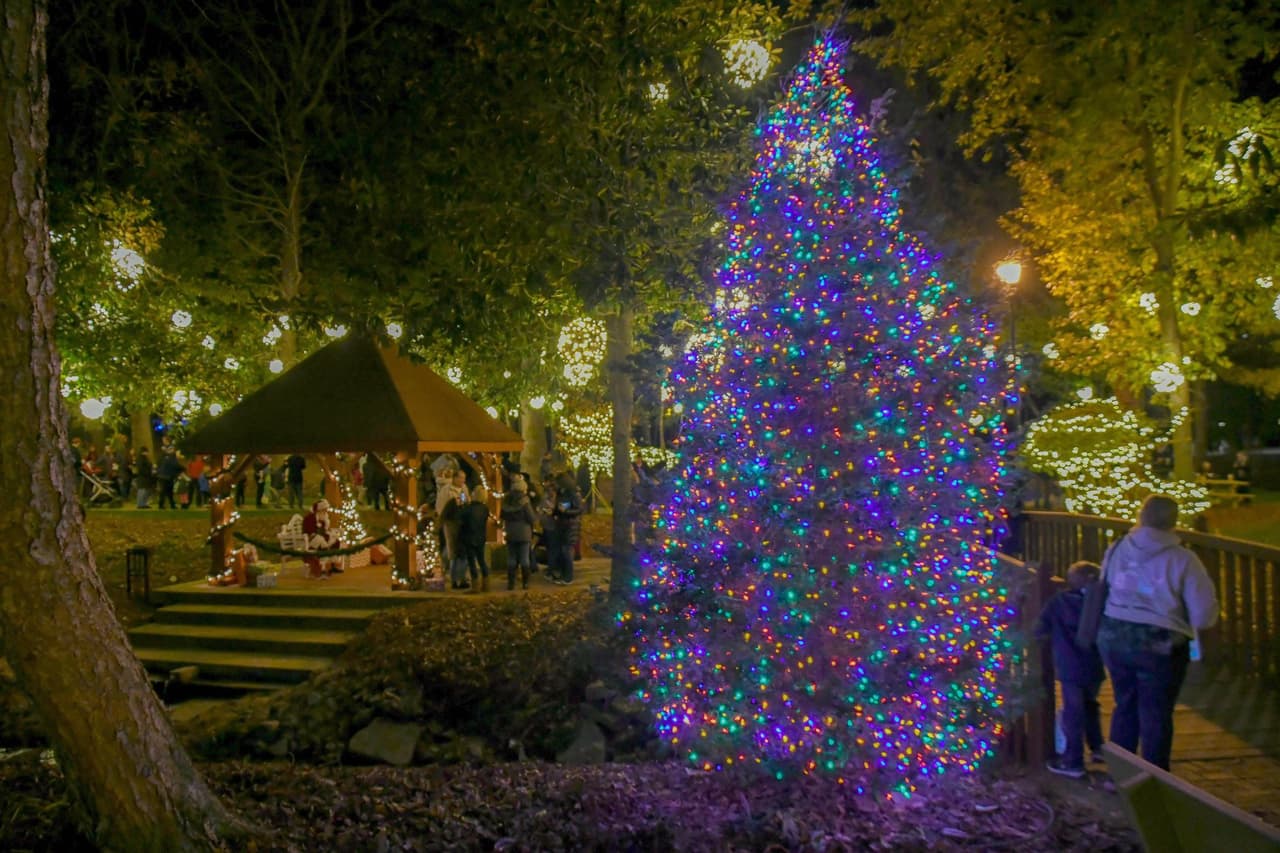 <b>Lights at Fuquay Mineral Spring Park</b>
<br>
<b>Fechas</b>: Desde la primera semana de diciembre 
<br>
<b>Lugar</b>: 104 Spring St., Fuquay-Varina, NC
<br>
<b>Sitio web</b>: 
<a href="https://www.fuquay-varina.org/753/Holiday-Happenings">https://www.fuquay-varina.org/753/Holiday-Happenings</a> 
<br>
<br>El Fuquay Mineral Spring Park estará decorado con luces festivas para disfrutar junto a la familia.