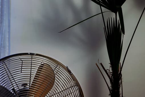 Los ventiladores para toda la casaextraen el aire frío de la casa y expulsan el aire caliente por el ático. Utiliza el ventilador durante las horas más frescas del día para enfriar más su casa.