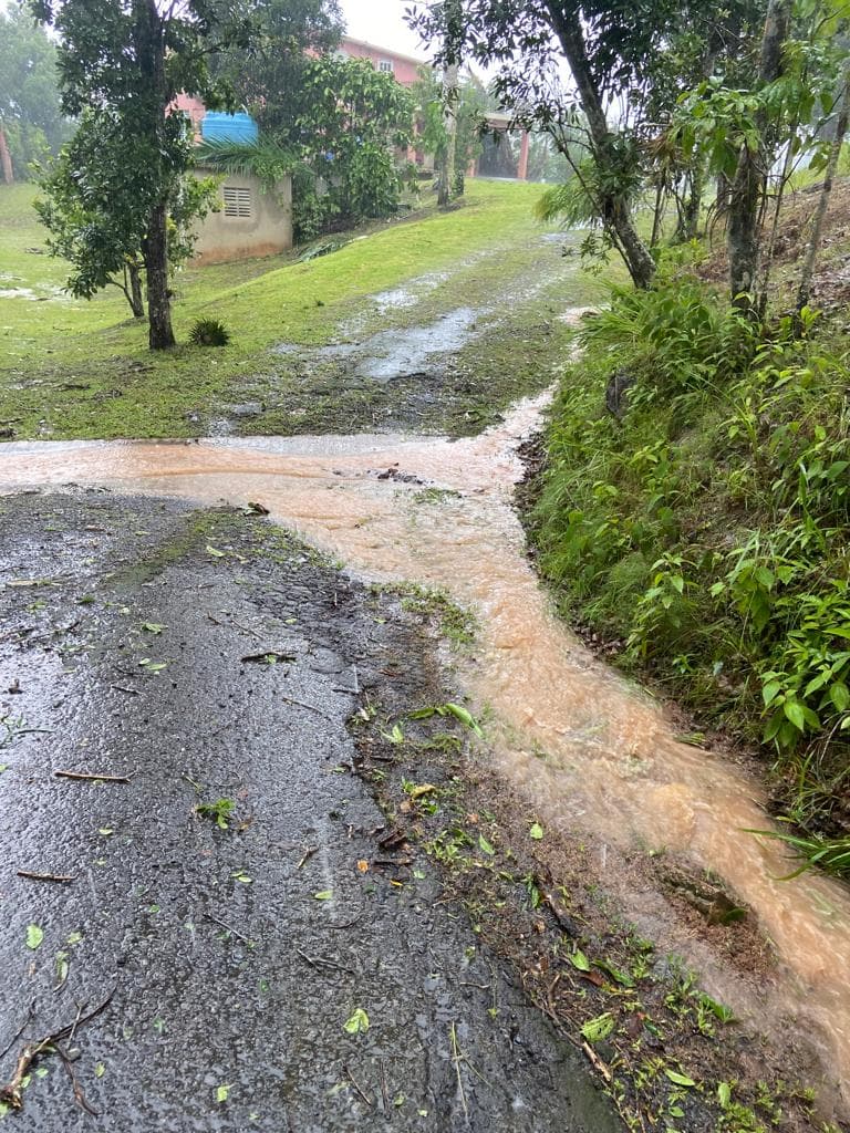 Deslizamientos registrados en el barrio San Antón, en el municipio de Carolina.