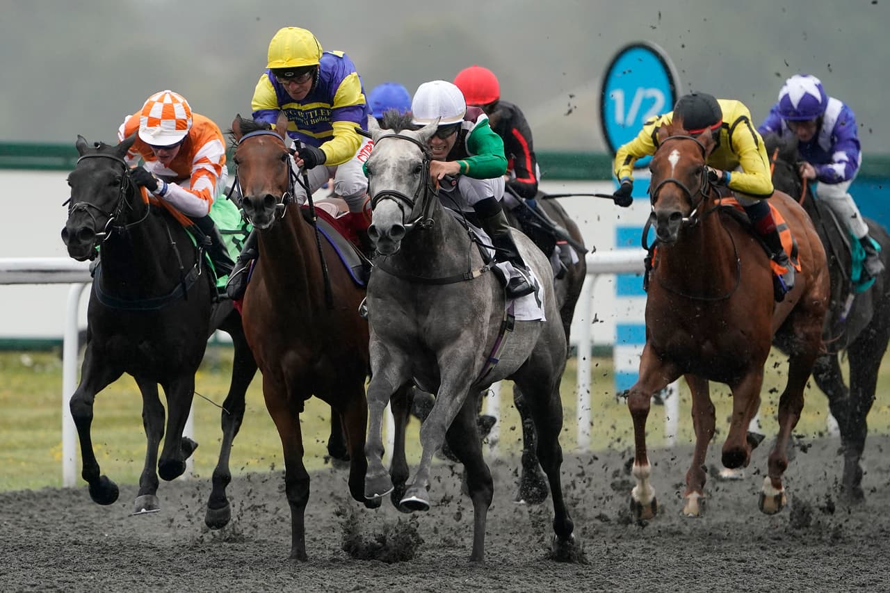 36 personas fueron acusadas e cometer delitos de estafa, maltrato animal y falsificación de documentos por matar a 22 caballos de carreras para cobrar la póliza de seguro, que ascendía a más de 200 mil euros.