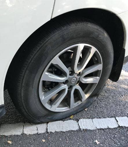 Según oficiales, Hernández ocasionó más de 1,000 dólares de daños a la patrulla.