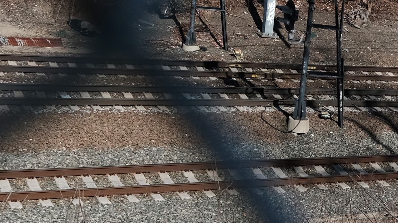 El caso de la modelo venezolana atropellada en México por un tren a gran velocidad mientras se hacía fotos en las vías