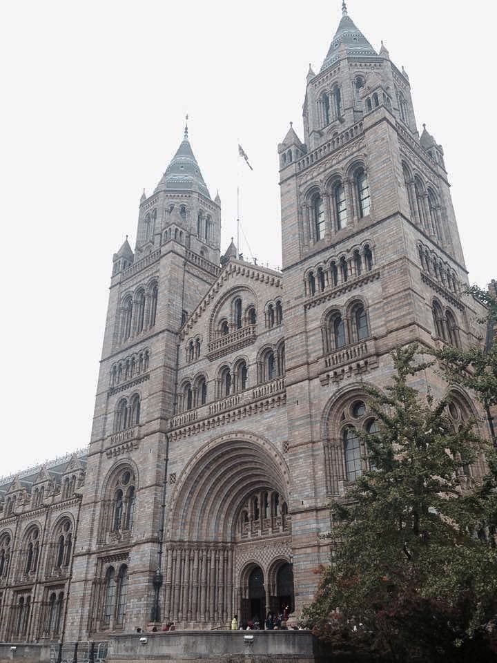 Pocos fueron los que notaron la presencia de la duquesa y el príncipe, pero decidieron dejarlos pasear sin ser molestados.